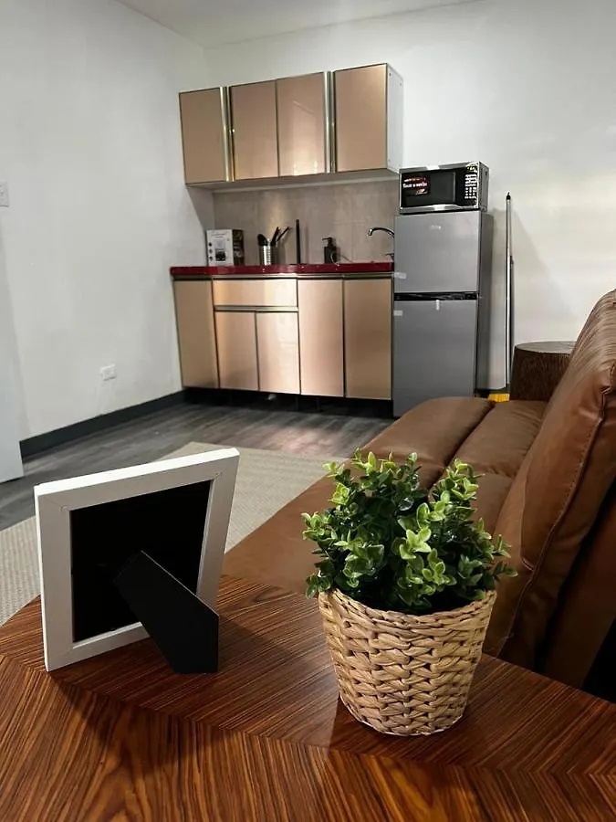 Janer House At San Juan Apartment Puerto Rico